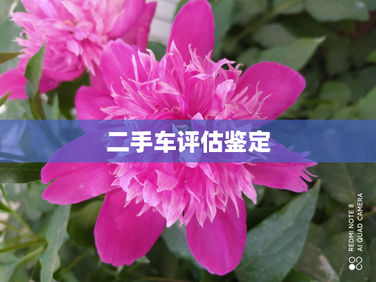 二手车评估鉴定