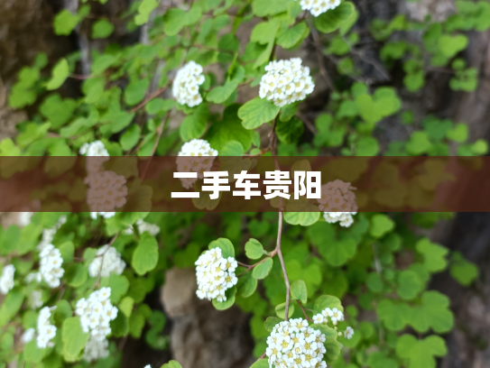 二手车贵阳