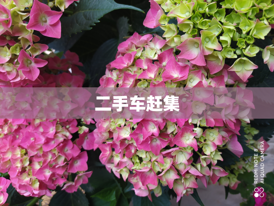 二手车赶集