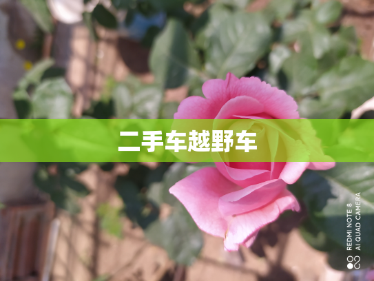 二手车越野车