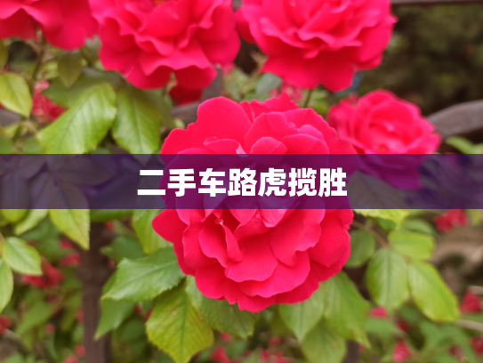 二手车路虎揽胜