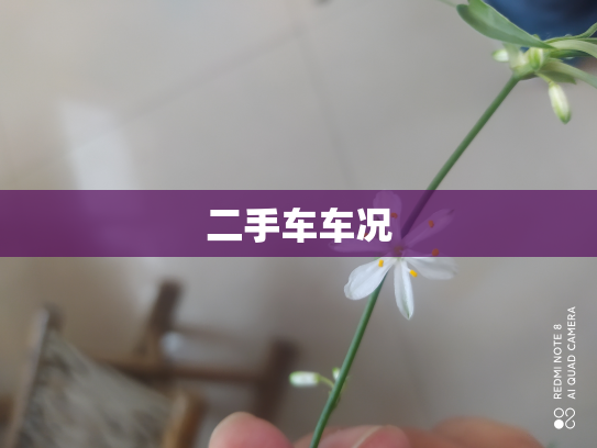 二手车车况