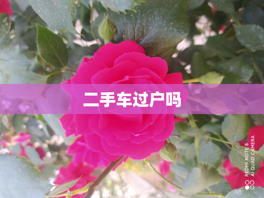 二手车过户吗