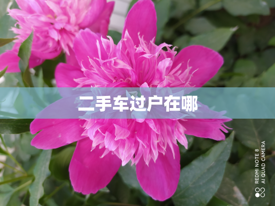 二手车过户在哪