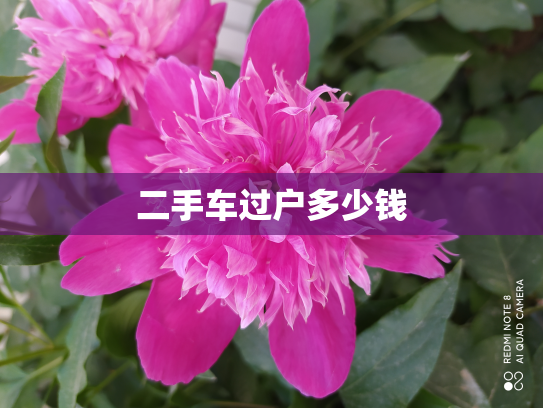 二手车过户多少钱