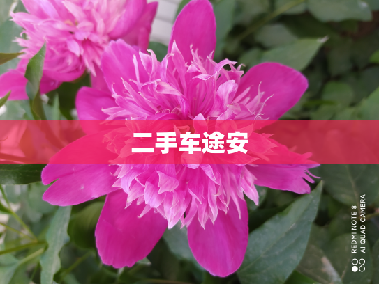 二手车途安