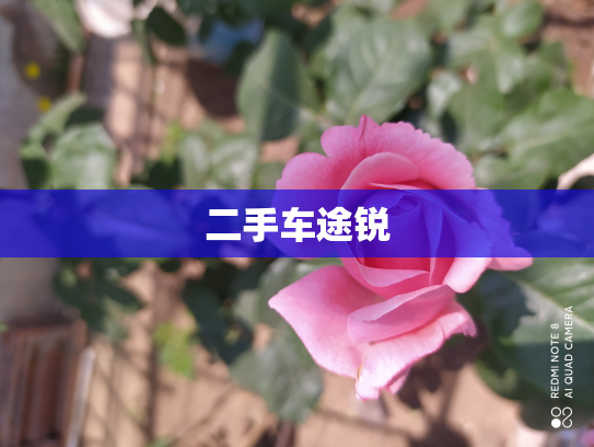 二手车途锐