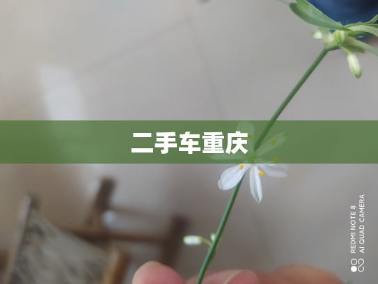 二手车重庆