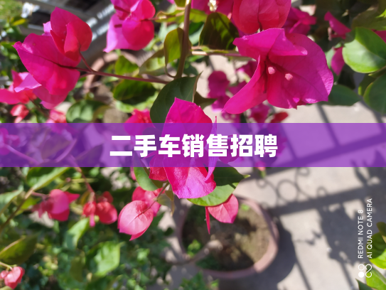 二手车销售招聘