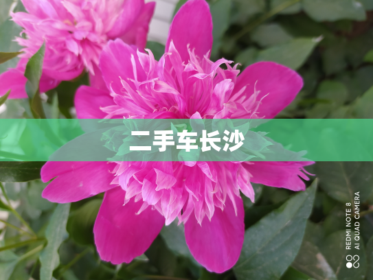 二手车长沙