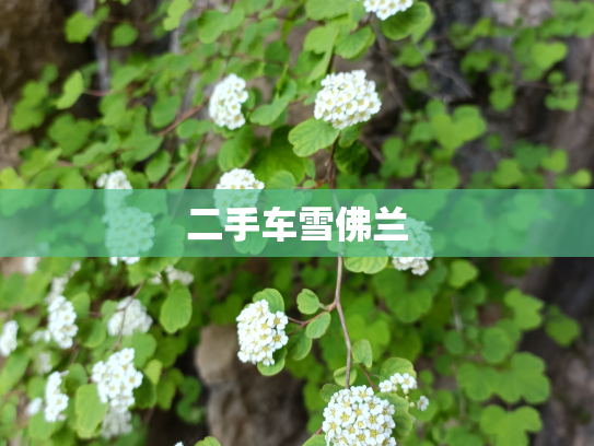 二手车雪佛兰