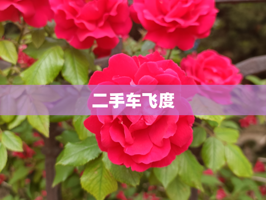 二手车飞度