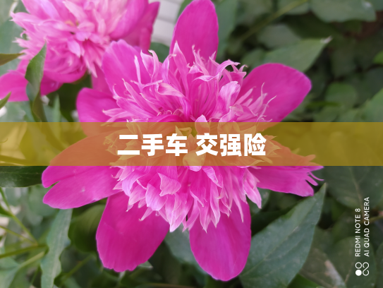 二手车 交强险