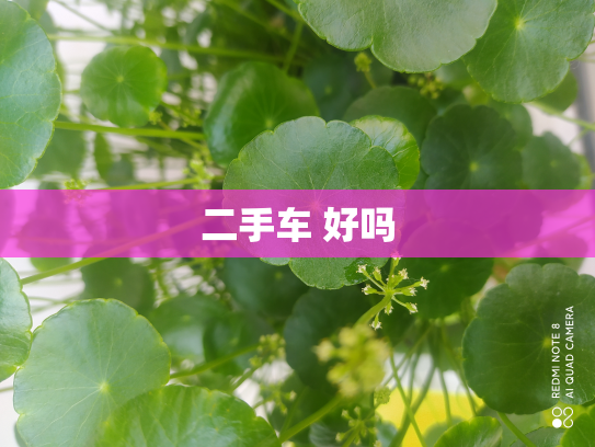 二手车 好吗