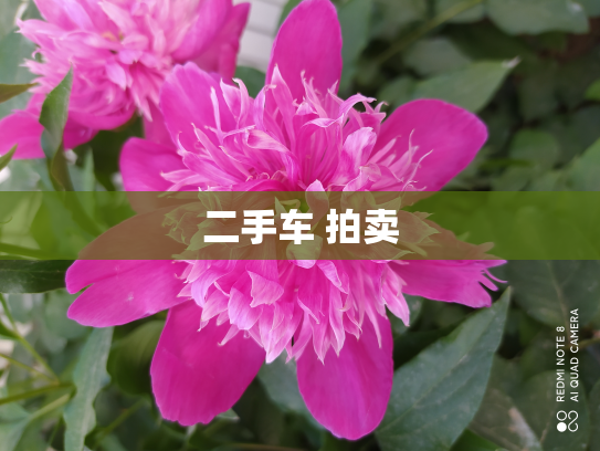 二手车 拍卖