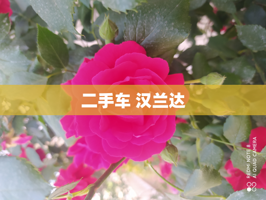 二手车 汉兰达