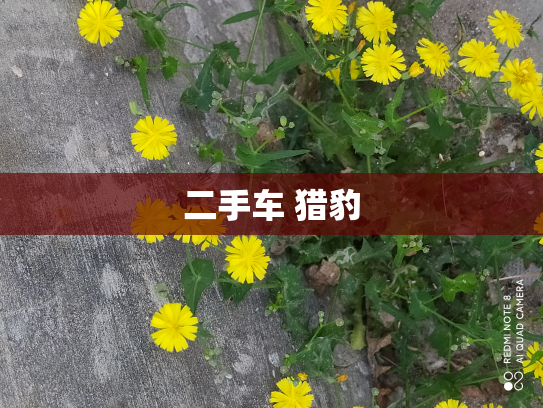 二手车 猎豹