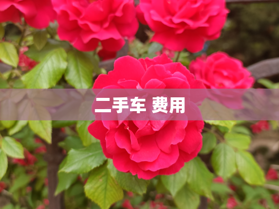 二手车 费用