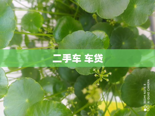 二手车 车贷