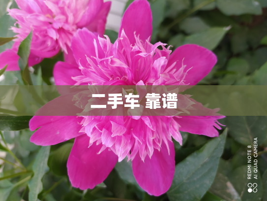 二手车 靠谱