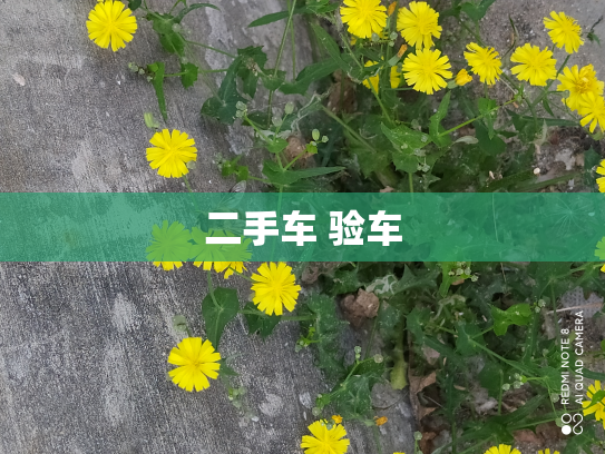 二手车 验车