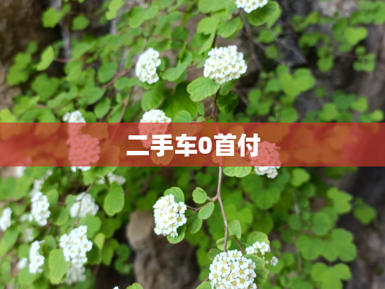 二手车0首付