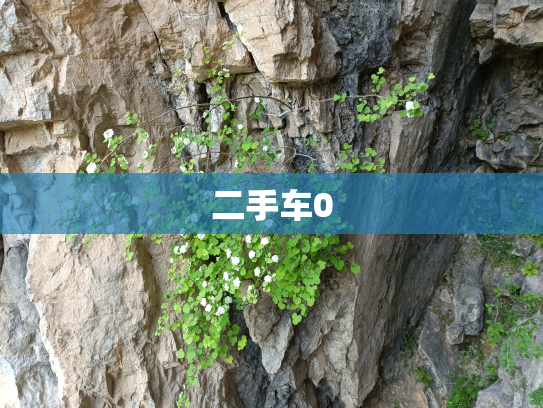 二手车0