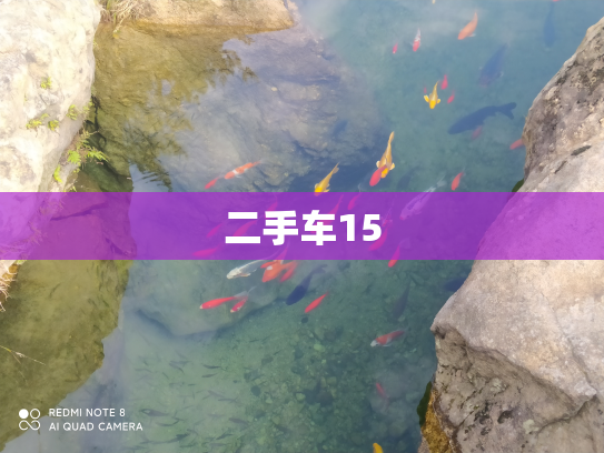二手车15