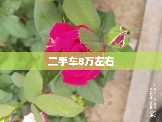 二手车8万左右