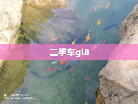 二手车gl8