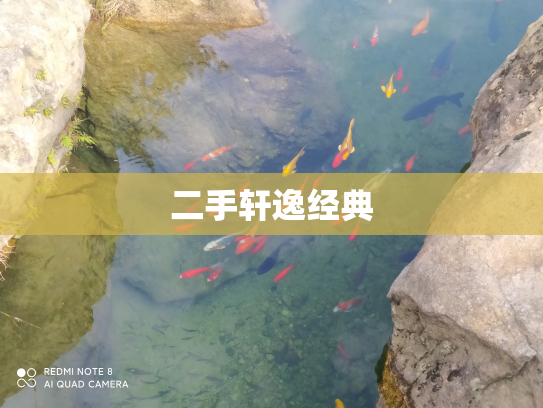 二手轩逸经典