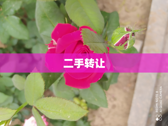 二手转让