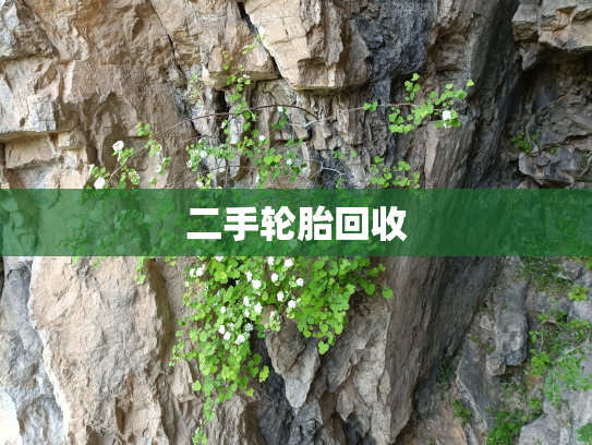 二手轮胎回收
