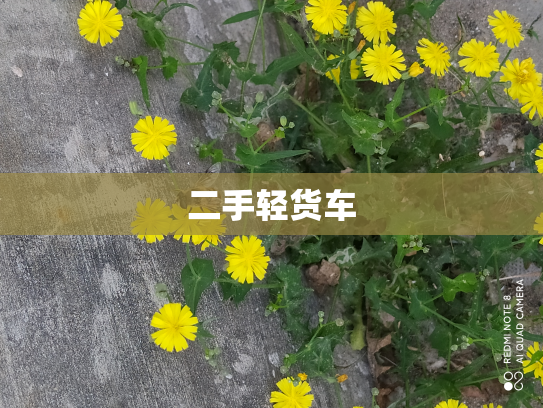 二手轻货车