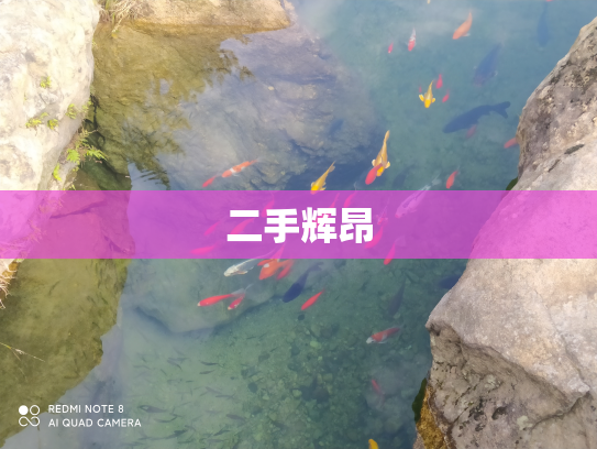 二手辉昂