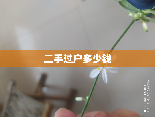 二手过户多少钱