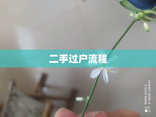 二手过户流程