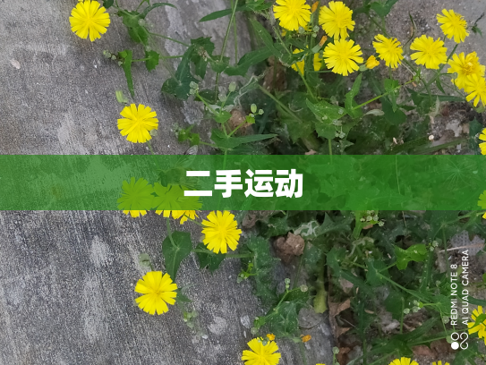 二手运动