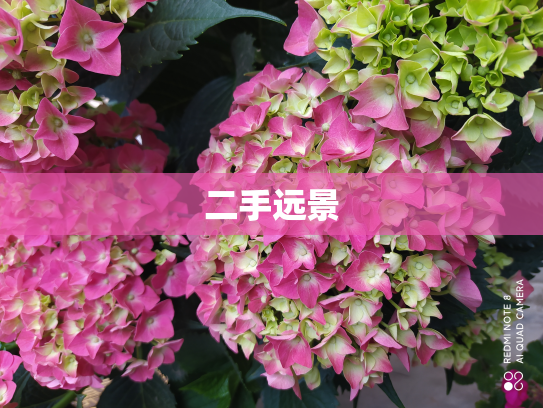 二手远景