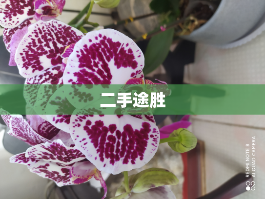 二手途胜