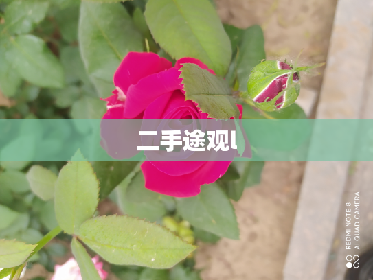 二手途观l