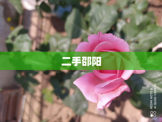 二手邵阳