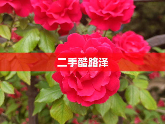 二手酷路泽
