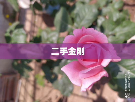 二手金刚