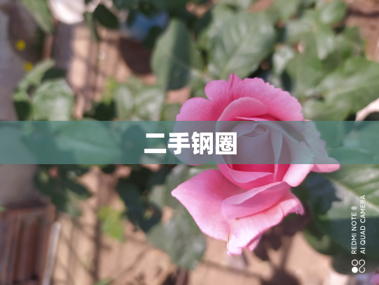 二手钢圈