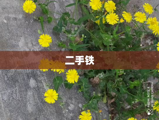 二手铁