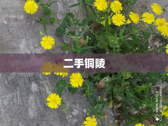 二手铜陵