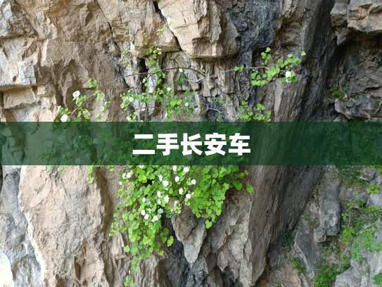 二手长安车