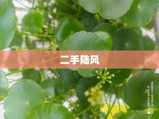 二手陆风