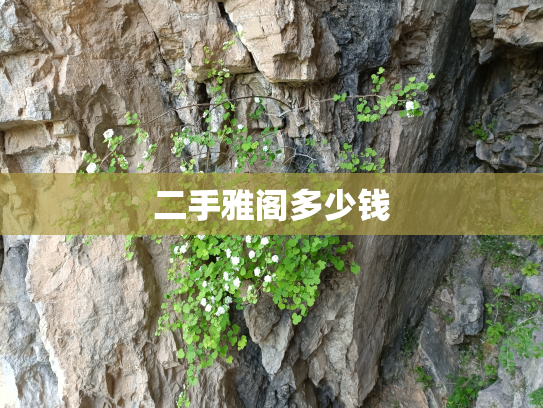 二手雅阁多少钱